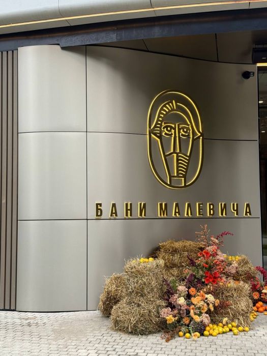 Бани Малевича в Подмосковье. 