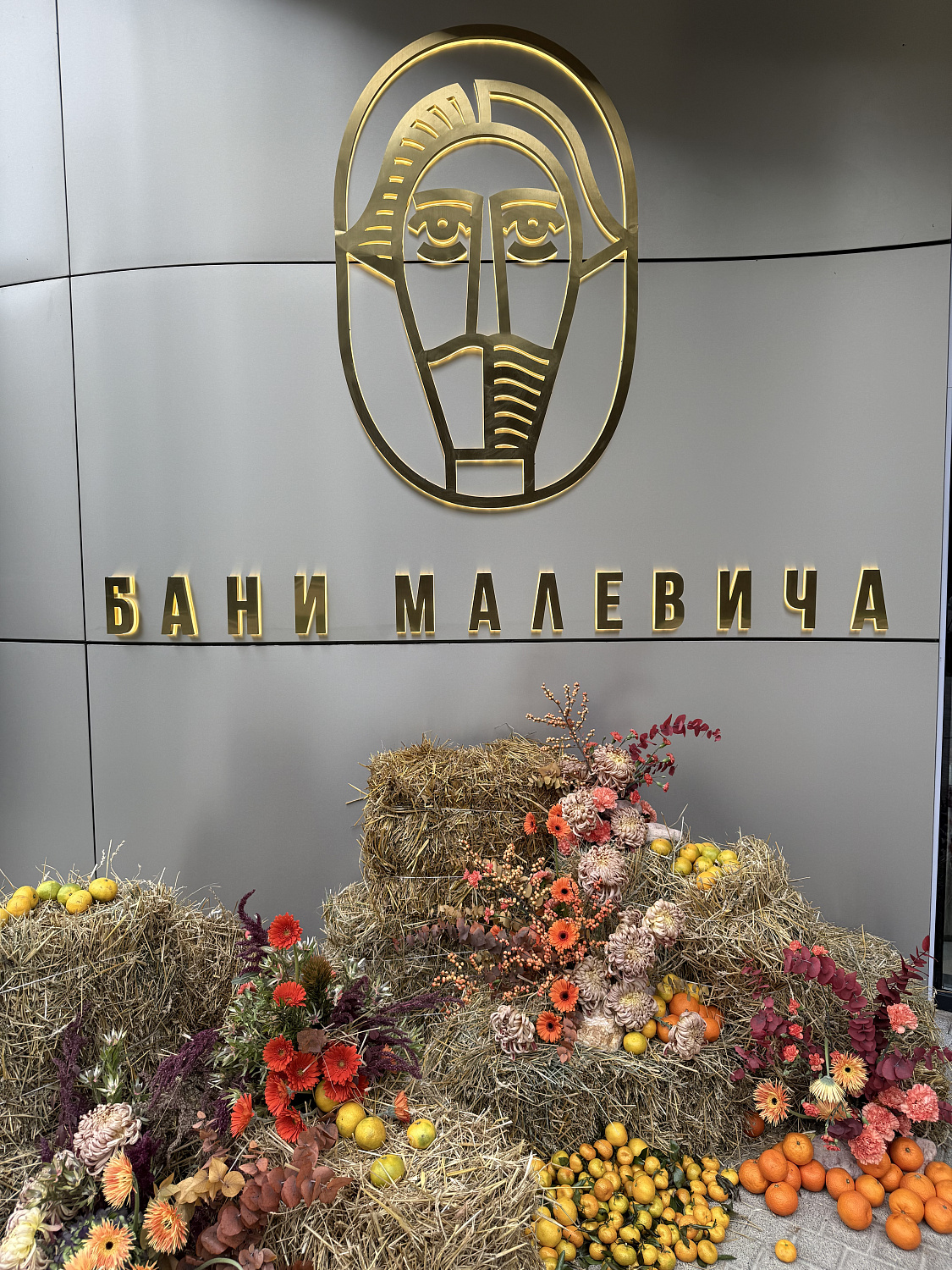 Фасад Бани Малевича